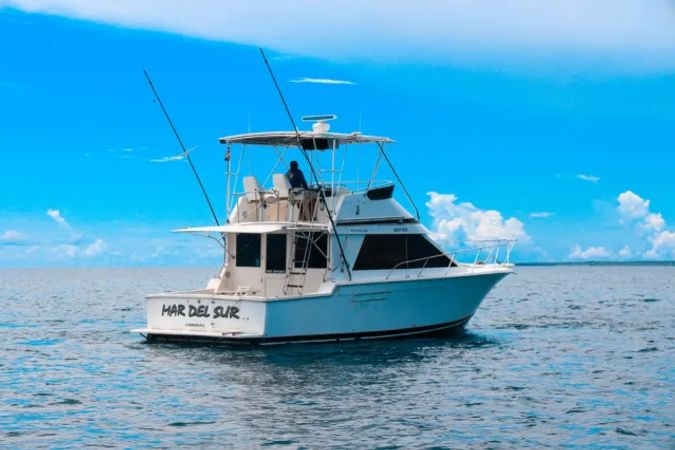 Pearson 40 | Mar Del Sur