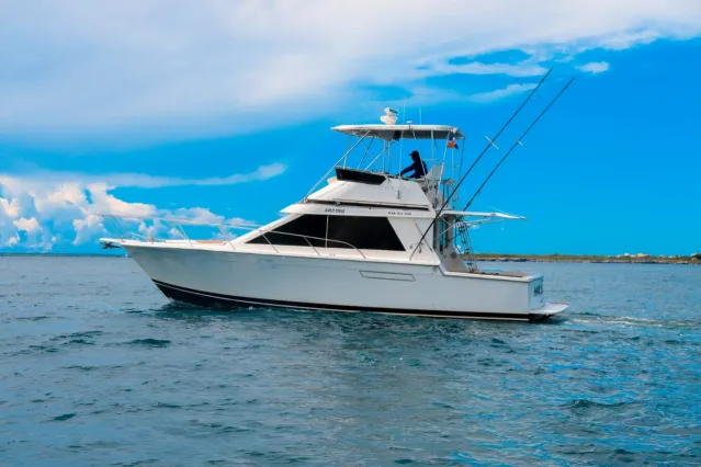 Pearson 40 | Mar Del Sur