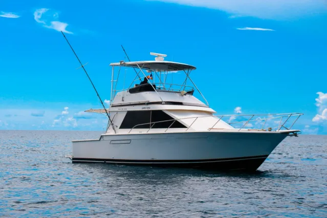 Pearson 40 | Mar Del Sur