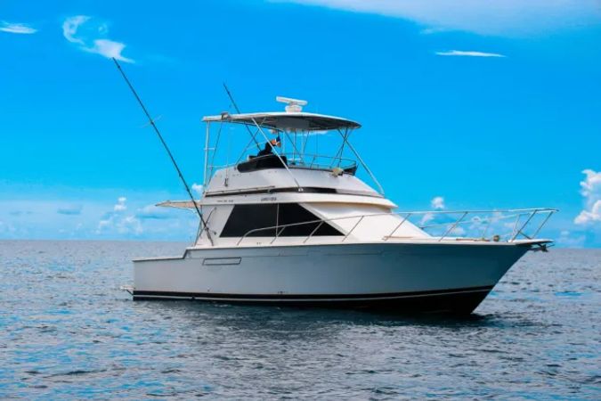 Pearson 40 | Mar Del Sur