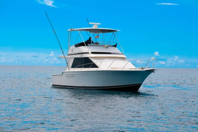 Pearson 40 | Mar Del Sur