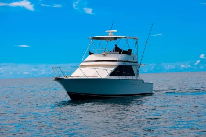 Pearson 40 | Mar Del Sur