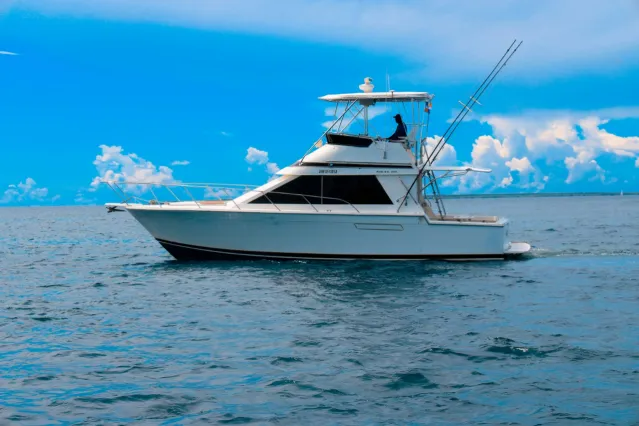 Pearson 40 | Mar Del Sur