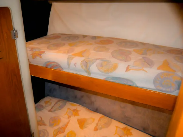 Pearson 40 | Mar Del Sur