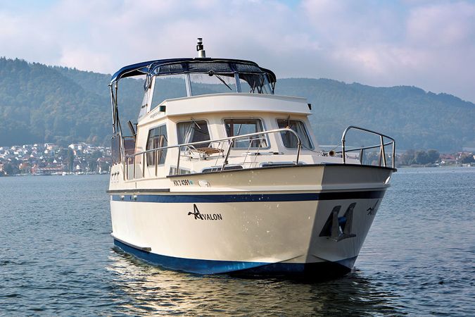 Success 11.50 | Tortuga