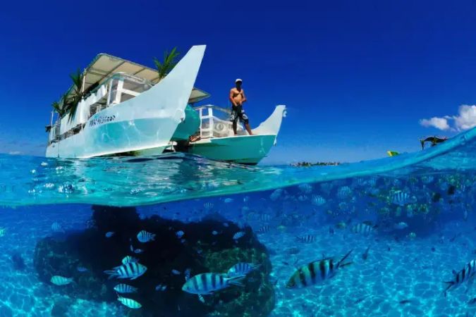 Custom Built 1 | Pofai Princess