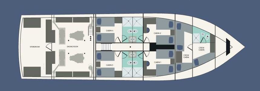 Custom Built 95 | Galaxy Diver