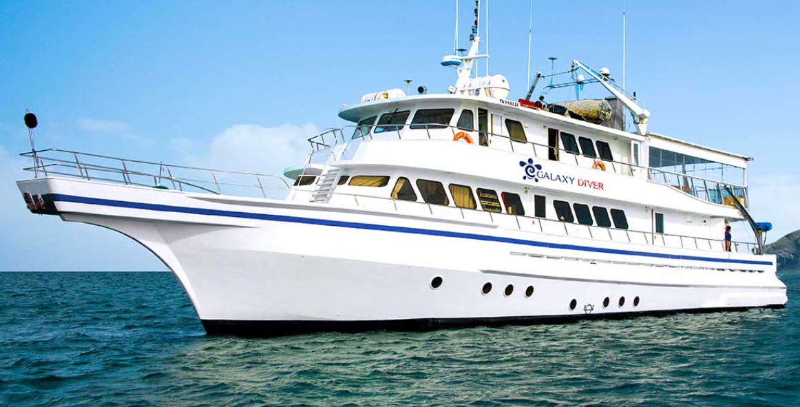 Custom Built 95 | Galaxy Diver