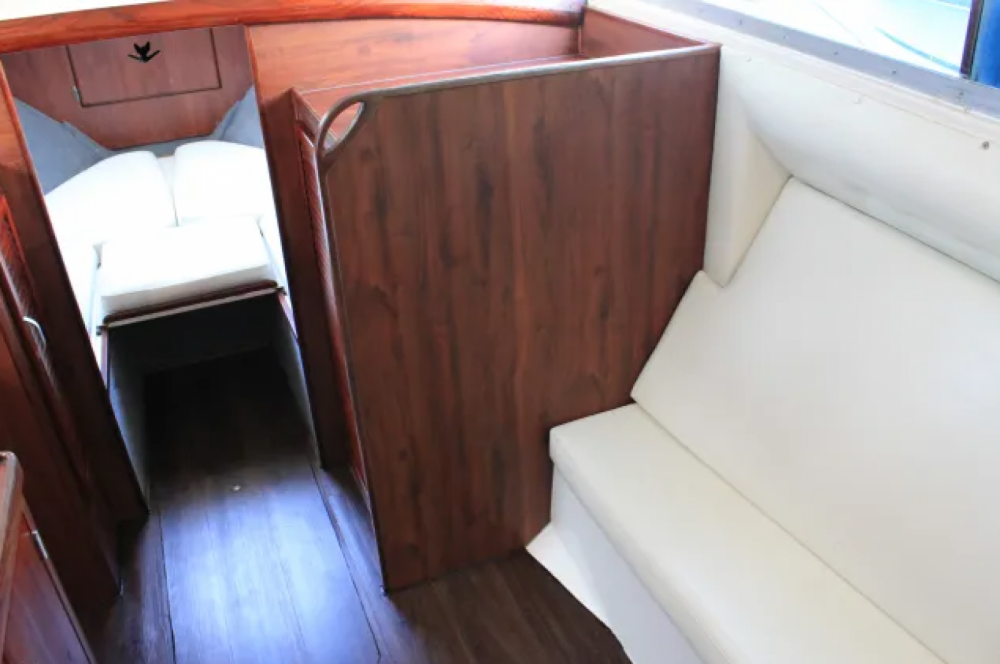 Bertram 28 Flybridge | Consuelo