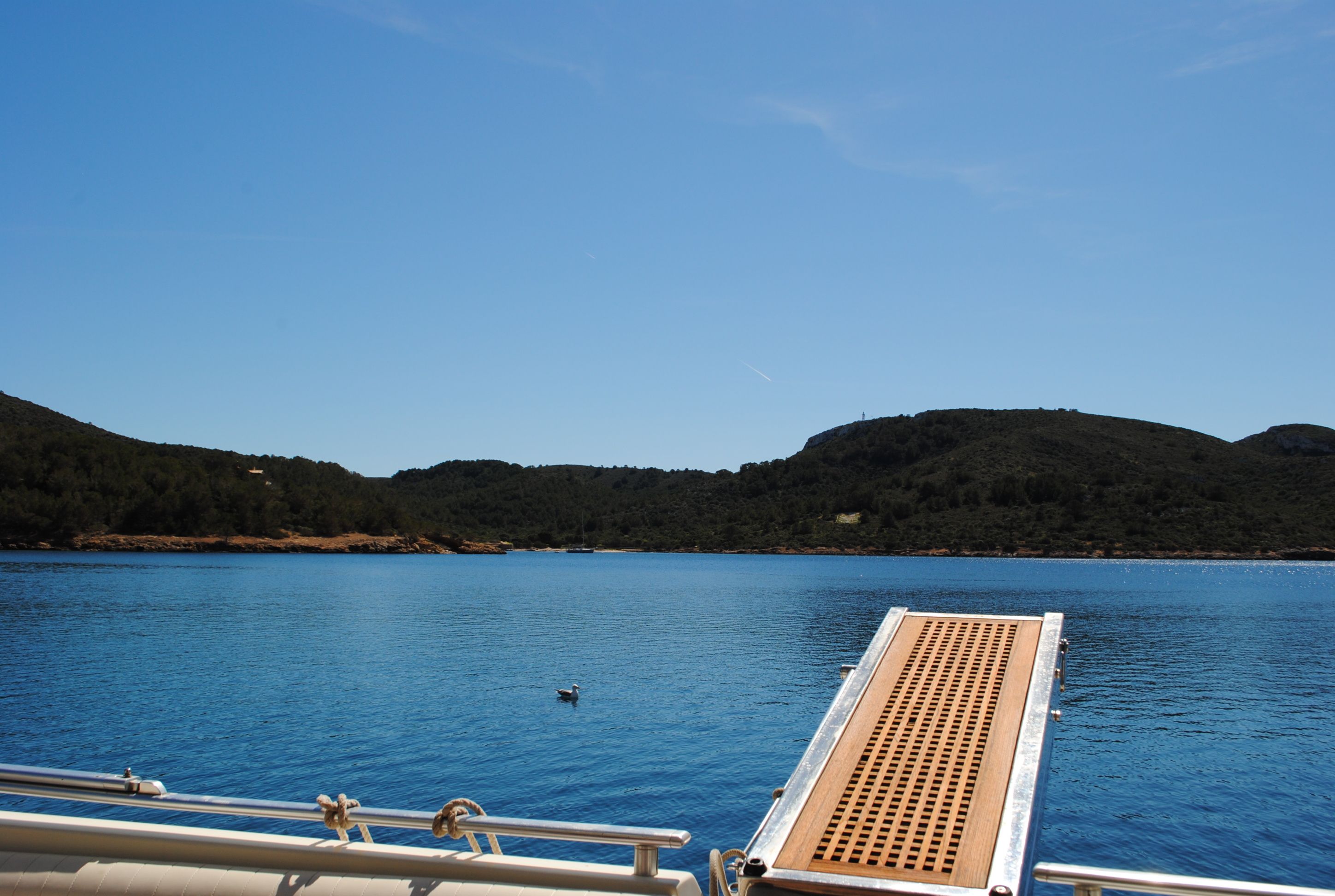 Ferretti 175 | Tres Sirenas