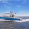 Intrepid 407 Cuddy | Blue Smile