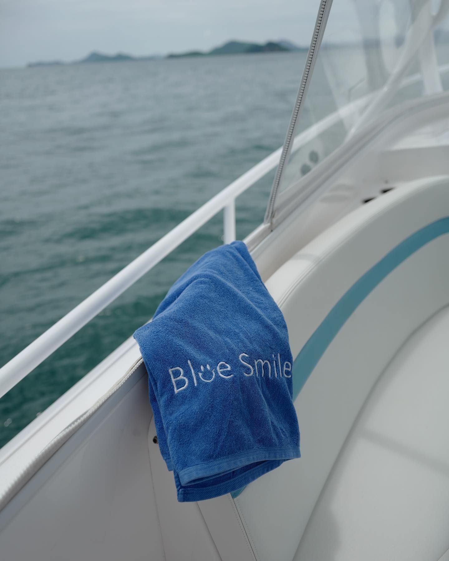 Intrepid 407 Cuddy | Blue Smile
