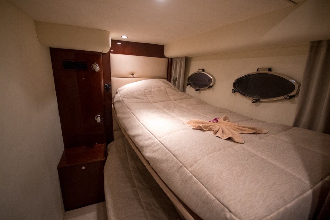 Princess V58 | Shard 1