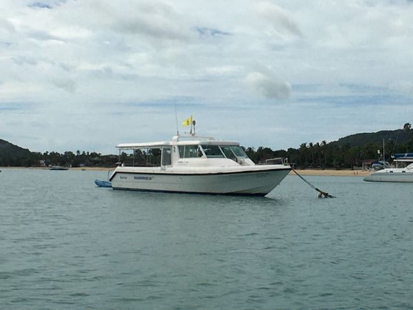 Gulf Craft 36 | Sting