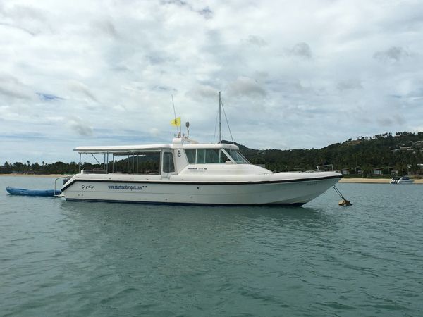 Gulf Craft 36 | Sting