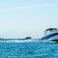 Fairline Targa 52 | Hip Horizons