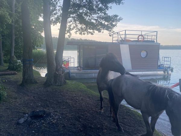 Custom Built 35 | Luna