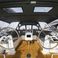 Bavaria C42 | Good Times