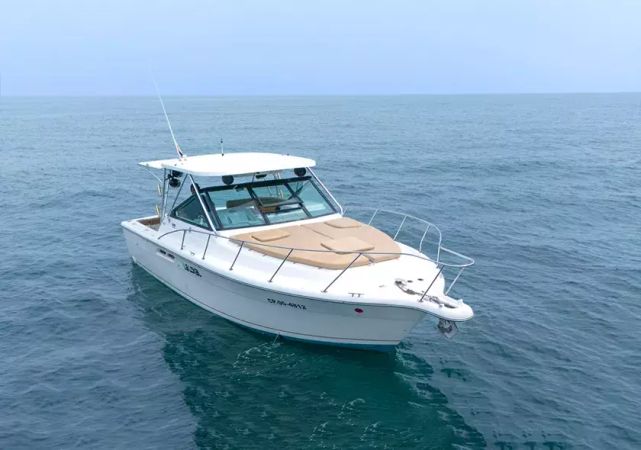 Bertram 31 | La Lokal