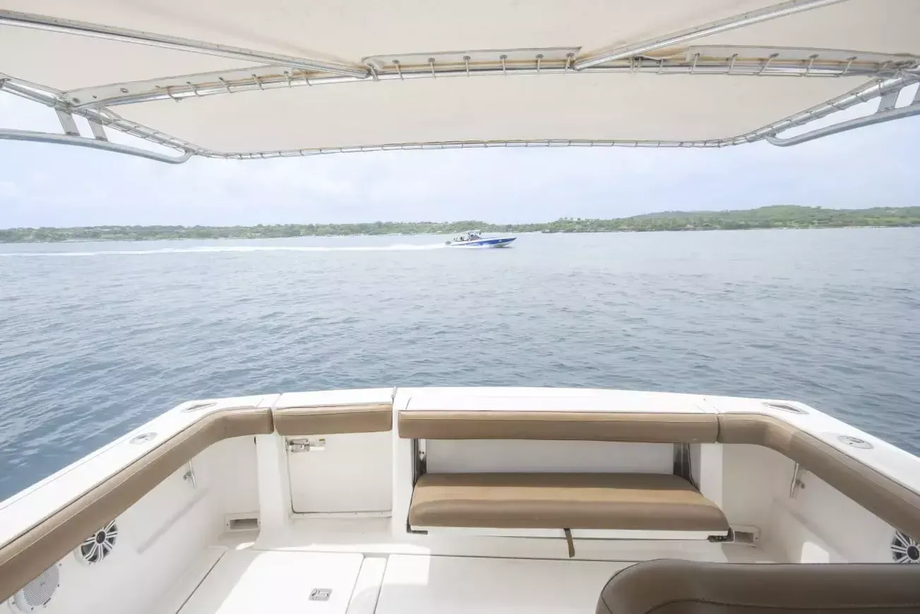 Bertram 31 | La Lokal