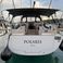 Elan 45.1 Impression | Polaris