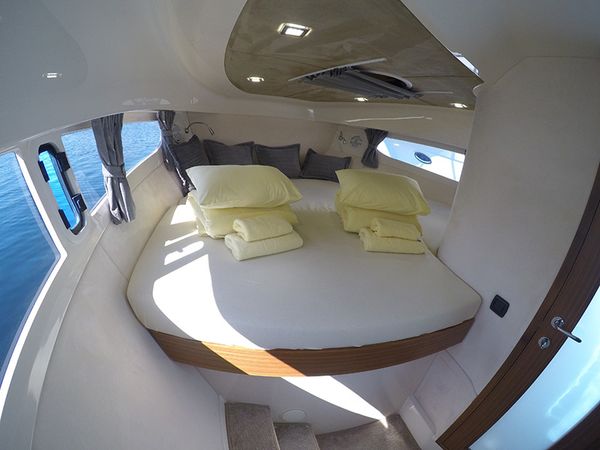 Marex 320 | Morski konjic