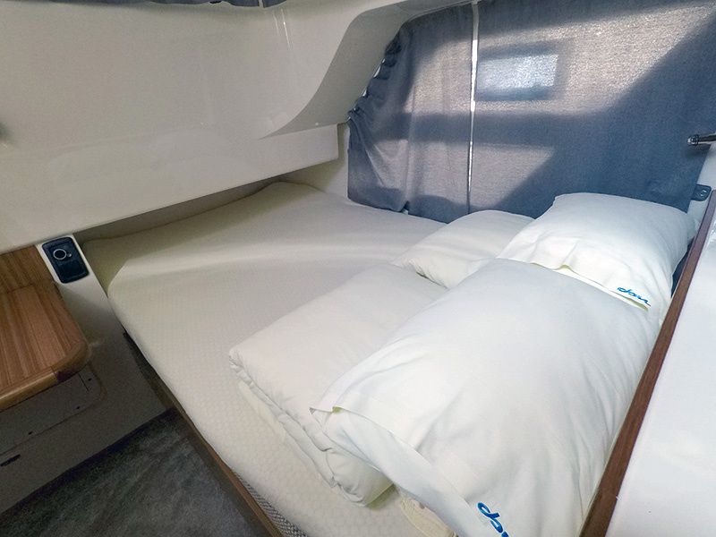 Marex 320 | Morski konjic
