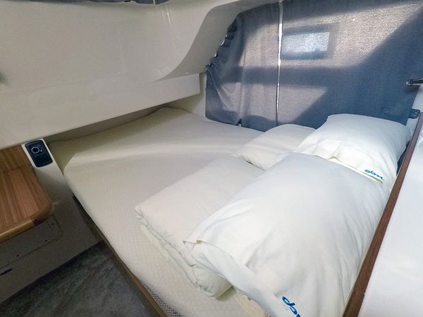 Marex 320 | Morski konjic