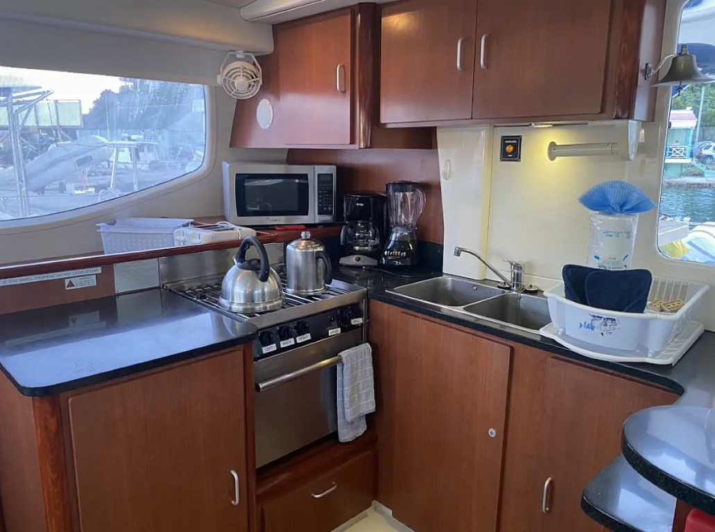 Leopard 46 | Moko Jumbie