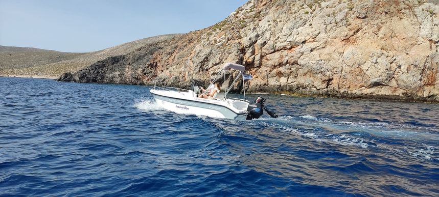 Olympic 490cc | Anastasia