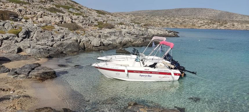 Olympic 490cc | Anastasia