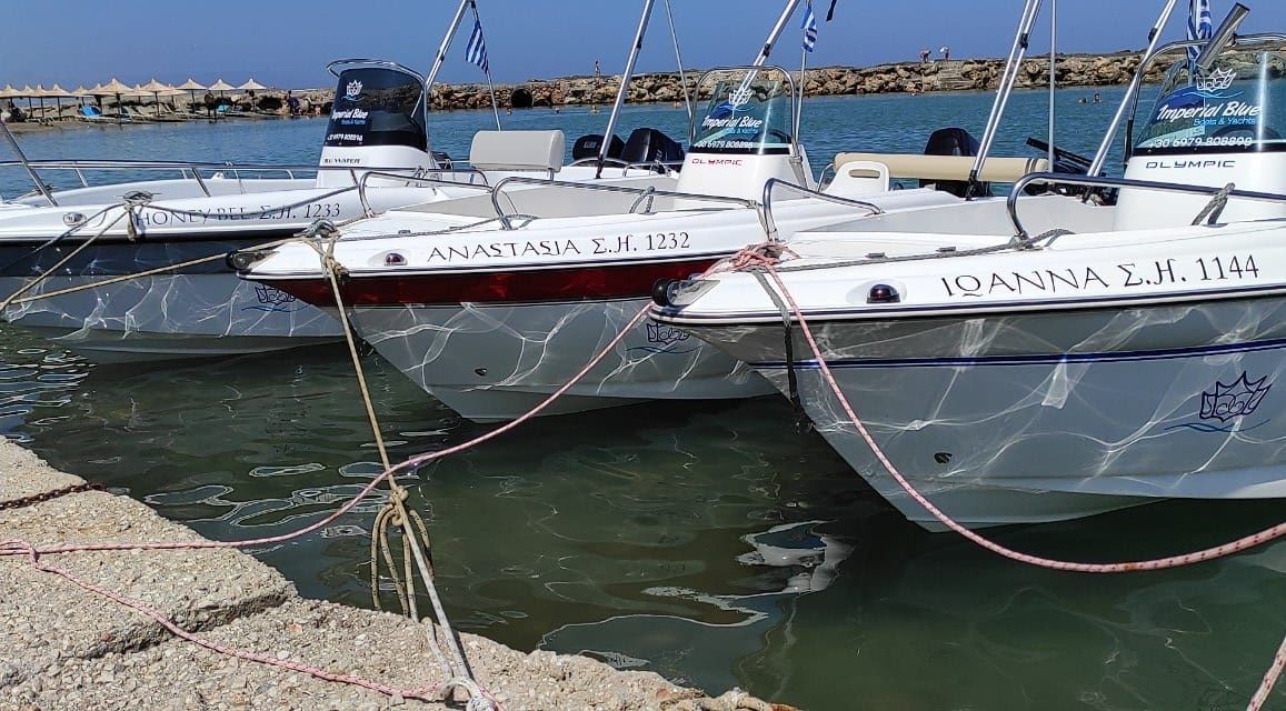 Olympic 490cc | Anastasia