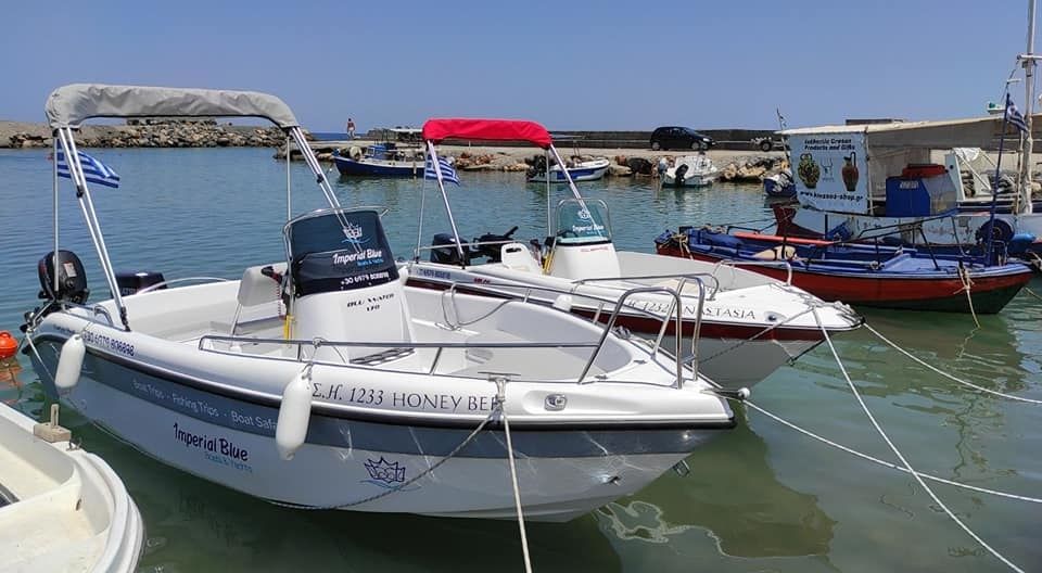 Poseidon Blu Water 170 | Honey Bee