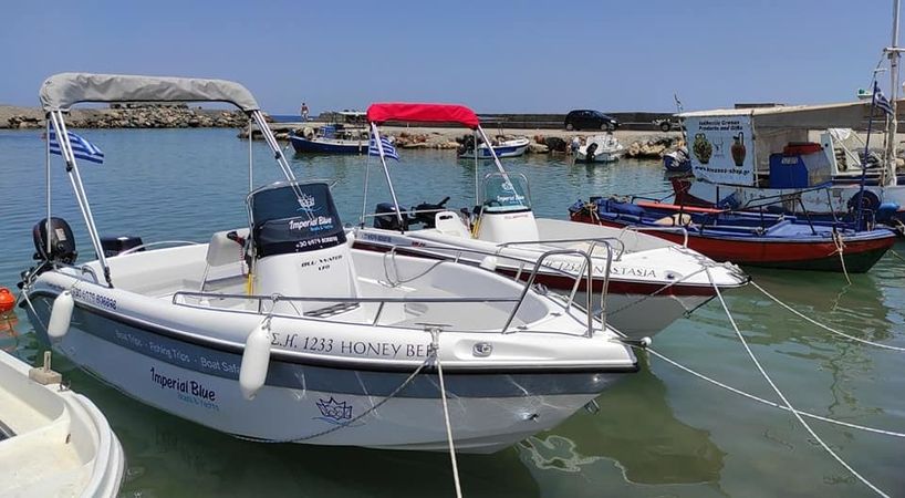 Poseidon Blu Water 170 | Honey Bee