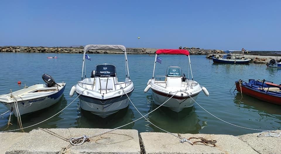 Poseidon Blu Water 170 | Honey Bee