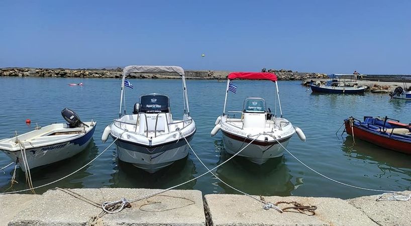 Poseidon Blu Water 170 | Honey Bee