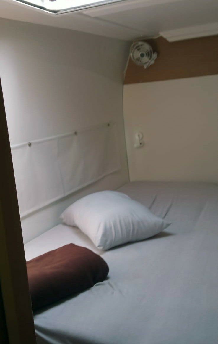 Excess 11 | Malaolaur