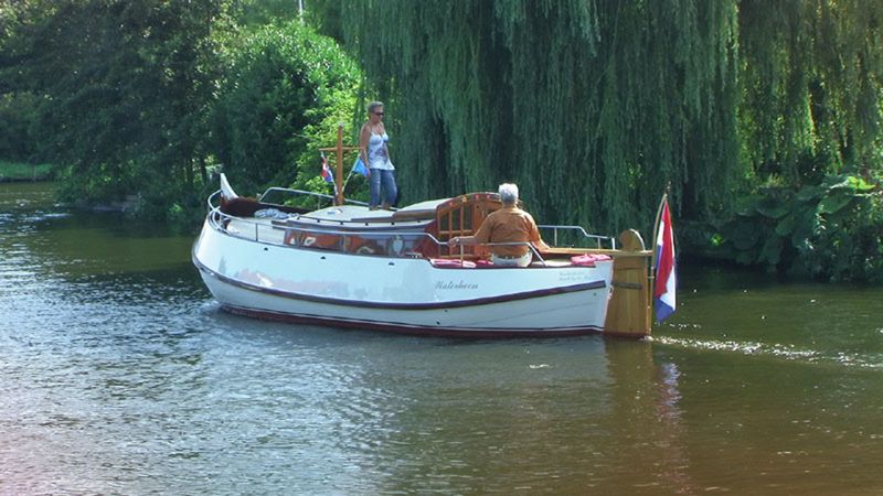 Motorbol 8.1 | Waterhoen