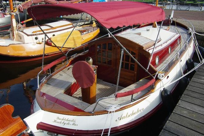 Motorbol 8.6 | Aalscholver