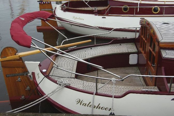 Motorbol 8.6 | Aalscholver