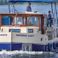 Kormoran 1290 | 1