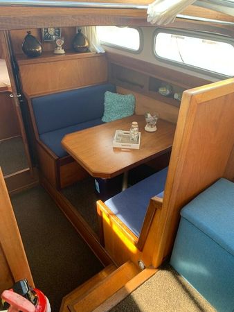 Adema Kruiser | Seerose