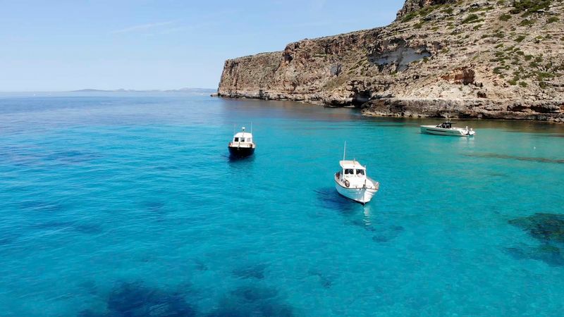 Menorquin 50 | Lenteja 2