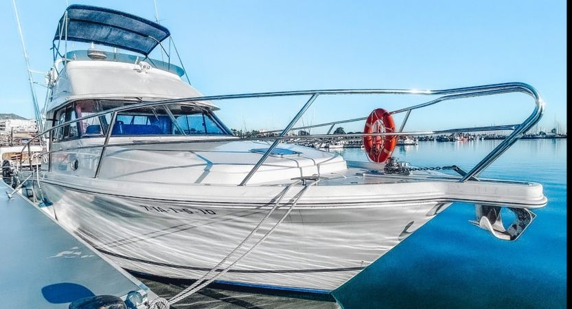 Faeton Moraga 1180 | Raddy