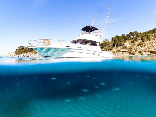 Faeton Moraga 1180 | Raddy