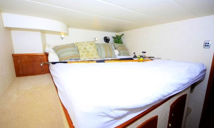 Powerplay 54 | Liquid