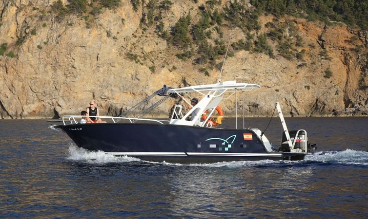 Moggaro 850 Sport | Javier Capapuig