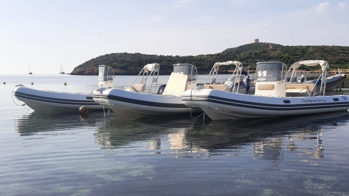 Capelli Tempest 530 | 2