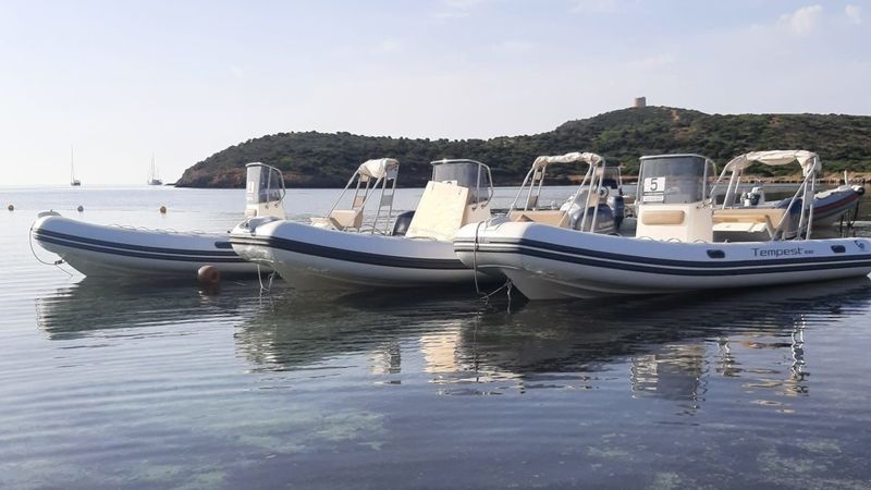 Capelli Tempest 530 | 3