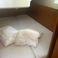 Jeanneau Sun Odyssey 410 | Liliane